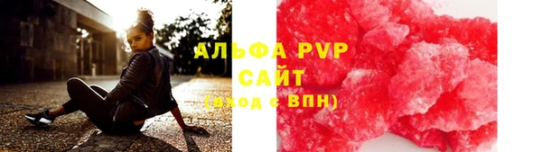 ПСИЛОЦИБИНОВЫЕ ГРИБЫ Карпинск
