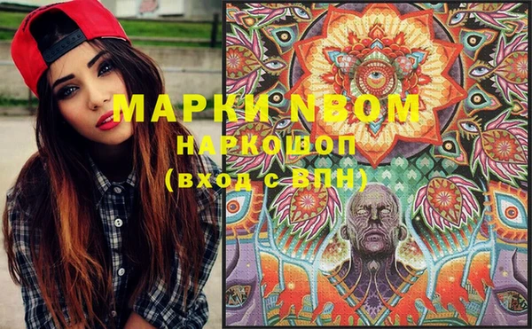 ПСИЛОЦИБИНОВЫЕ ГРИБЫ Карпинск