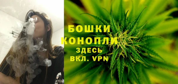 ПСИЛОЦИБИНОВЫЕ ГРИБЫ Карпинск