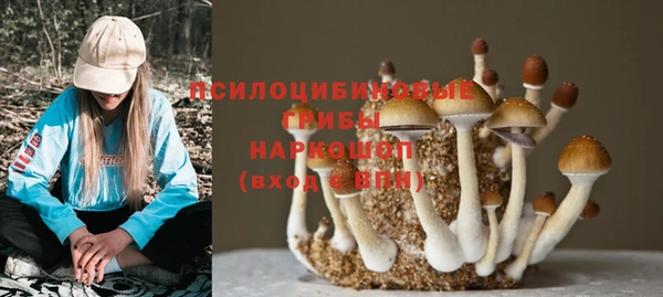 ПСИЛОЦИБИНОВЫЕ ГРИБЫ Карпинск