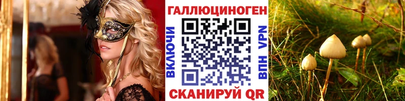 Купить  Ленинск-Кузнецкий  Галлюциногенные грибы Psilocybine cubensis 